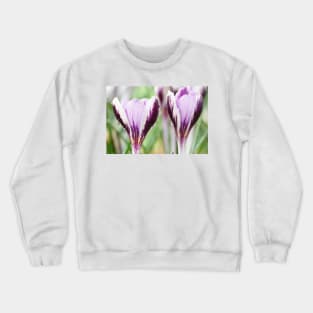 Crocus  'Spring Beauty' Crewneck Sweatshirt